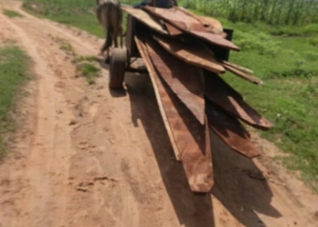 Soldiers Intercept 3 Canoes Meant For Terrorists Kingpin Bagewaye In Zamfara