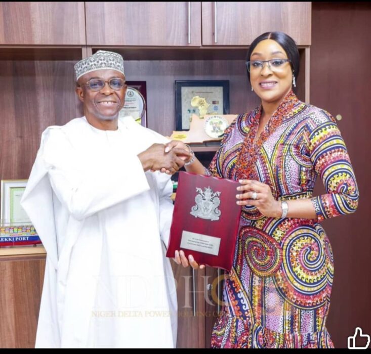 NDPHC, NPA Collaboration Advances Nigeria's Power Sector Growth