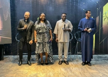 Weak Link Among Mentors, Investors, Entrepreneurs Slowing Africa’s Wealth Creation – Mintage Founders