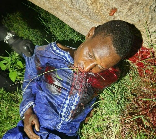 Troops Kill 2 Terrorist Commanders In Katsina, Leader Escapes Wounded 1 IMG 20260831 WA0103