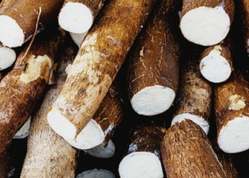 Kogi Govt Probes Deaths Of 4 Family Members After Eating Amala