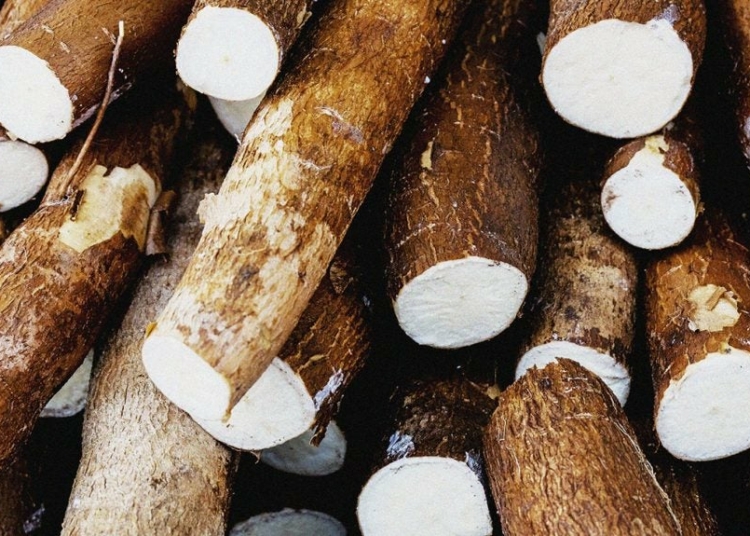 Kogi Govt Probes Deaths Of 4 Family Members After Eating Amala 1 IMG 0261