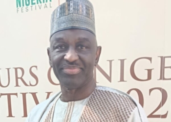 Over 300 Nigerian Doctors, Lawyers Practising In Canada — Envoy