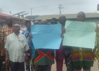 NEPA, PHCN Retirees Protest 25-Year Pension Delay