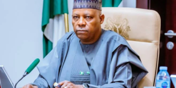 My ‘Six Northern Governors’ Comment Was About 2022 Primary- Shettima 3 Nigeria Can’t Afford To Exclude Women From $1trn Economy – Shettima