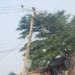 Truck Brings Down High-Tension Power Line In Ogun, Damages Electricity Poles