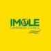 Osun Election: Imole Campaign Council Begins Documentation of Electoral Violence Victims