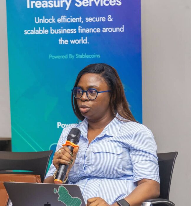 African Businesses Turning To Stablecoins For Faster Payments, Treasury Management – Expert