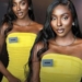 Miss World Nigeria 2026: Tamunosoye Takes Dark-Skin Beauty To Global Stage