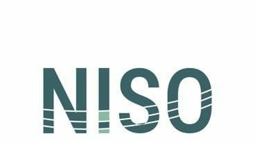 Move From Diagnosis to Solutions for Grid Stability, NISO Urges Stakeholders 1 NISO 4 e1770900836339