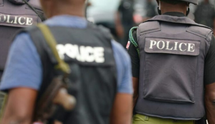 Osun Election 2026: Police Confirm Arrest Of Accord Lawmaker, 146 Mercenaries In Ikire 1 Nigerian Police 1024x577 1 768x433 2