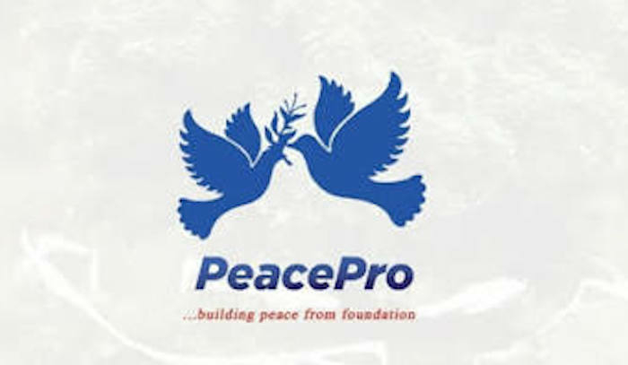 PeacePro Calls For Probe Into Foreign Intelligence Influence Networks In Nigeria