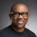 Tinubu’s Bid To Withhold US Records ‘Profoundly Embarrassing’ — Peter Obi