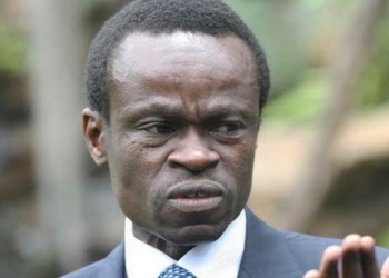 Lumumba Urges FG To End Visa Restrictions, Says They Hinder AfCFTA, Investment
