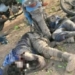 Troops Kill 21 Boko Haram, ISWAP Terrorists In Adamawa Offensive