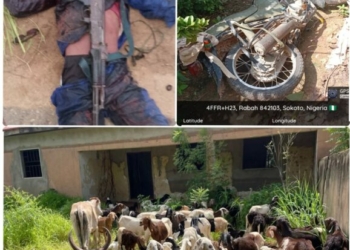 Troops Neutralize 2 Terrorists, Recover Weapons In Sokoto
