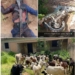Troops Neutralize 2 Terrorists, Recover Weapons In Sokoto 5 Troops Neutralize 2 Terrorists, Recover Weapons In Sokoto