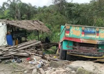 Truck Crushes 2 Brothers To Death At Palmwine Joint