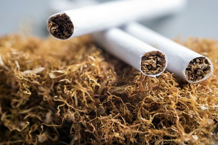 Tobacco Control Bill: Groups Demand Recall, Warn Of Risks To Nigerian Youths 1 Tobacco