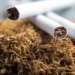 Tobacco Control Bill: Groups Demand Recall, Warn Of Risks To Nigerian Youths 4 Tobacco Control Bill: Groups Demand Recall, Warn Of Risks To Nigerian Youths