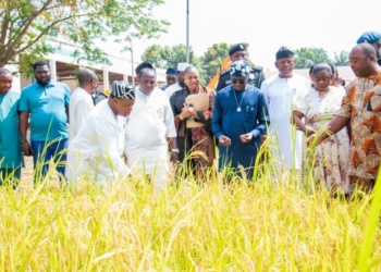 Alia Asks Benue Farmers To Embark On Extensive Farming