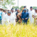 Alia Asks Benue Farmers To Embark On Extensive Farming 5 Alia Asks Benue Farmers To Embark On Extensive Farming