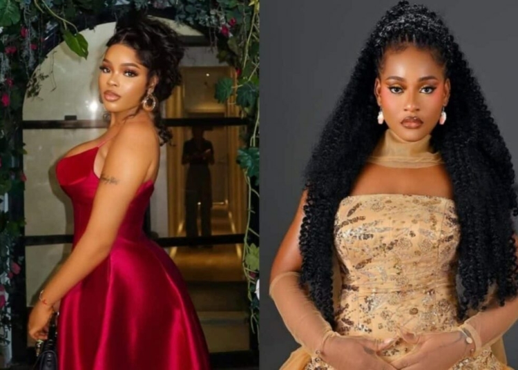 “You Are A Disgrace To The Street” – BBNaija Chichi Drags Phyna Over Her Beef With Ashmusy 1 You are a disgrace to the street Chichi slams Phyna 1200x800 1