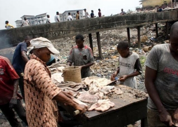 Lagos Moves To Produce Biogas, Fertiliser From Abattoir Waste