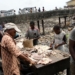 Lagos Moves To Produce Biogas, Fertiliser From Abattoir Waste