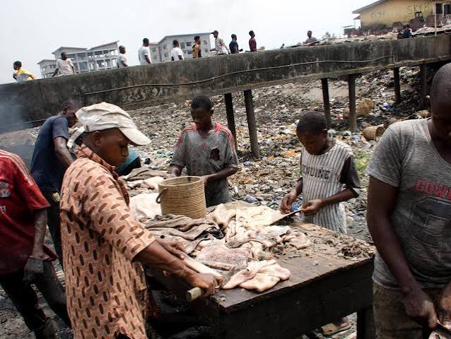 Lagos Moves To Produce Biogas, Fertiliser From Abattoir Waste