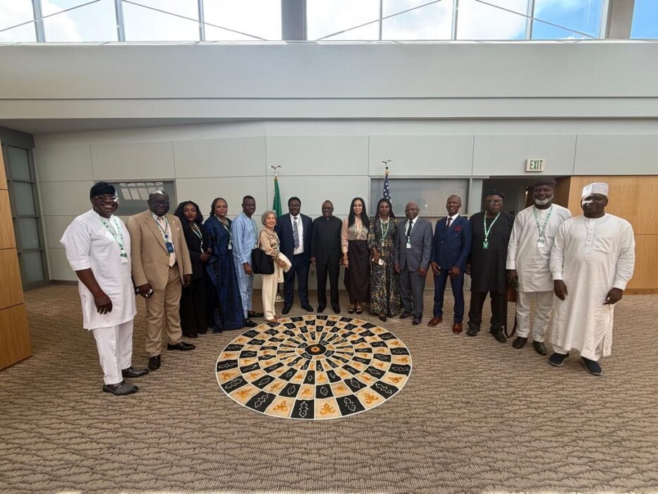Nigeria, US NGOs Forge Strategic Partnership