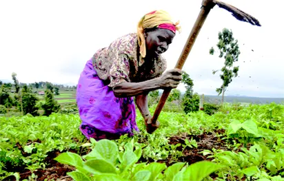 benue farmer 412x263 1