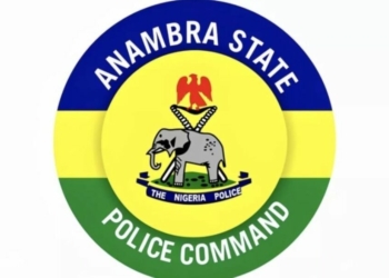 Anambra Police Arrest 10 Suspected Kidnappers, Robbers, Recover Guns