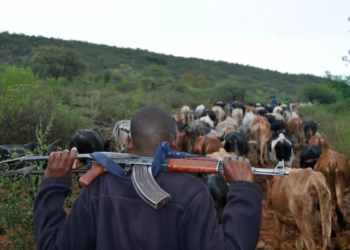 49 Killed, 33 Injured In Cattle Raid Attack In South Sudan