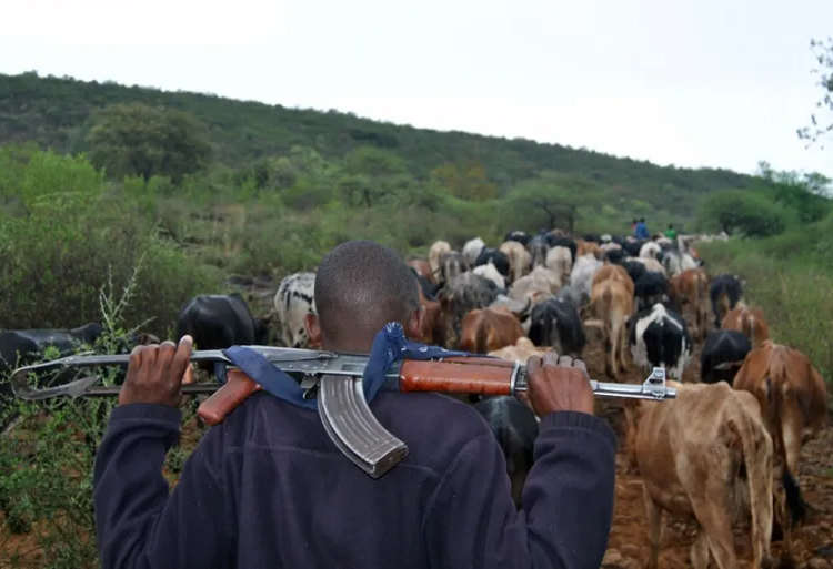 49 Killed, 33 Injured In Cattle Raid Attack In South Sudan 1 cattle raid attack