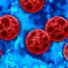 Cyclosporiasis