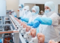 Indigenous Manufacturing Restates Move To Boost Food Security In Nigeria