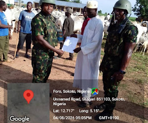 Troops Recover 147 Rustled Cows, Sheep, Camels, 3 Motorcycles In Sokoto