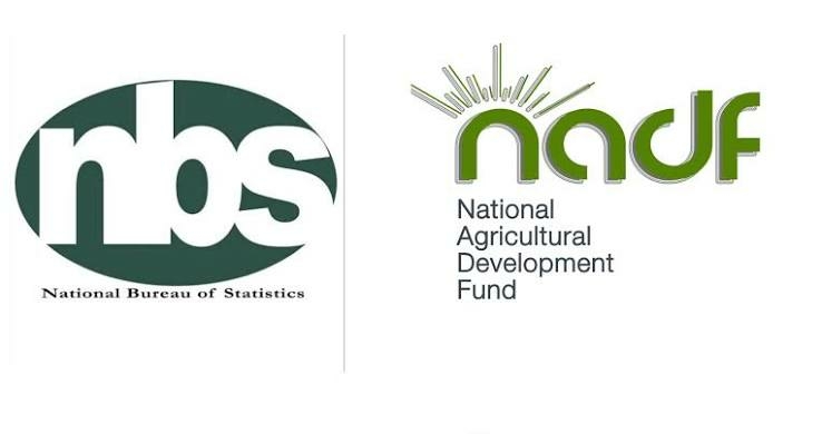 Fund, NBS Partner To Strengthen Agric Data 1 images 2026 08 02T093557.272