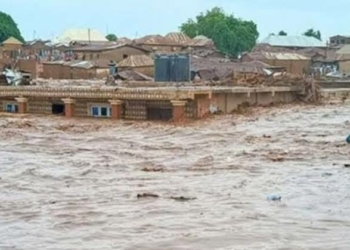 Flood: Federal Govt Places 944 Communities In 21 States On Alert