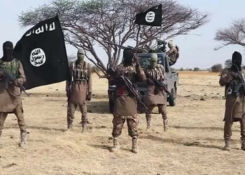 5 ISWAP Bomb Makers, Medical Officer Die In Borno Explosion
