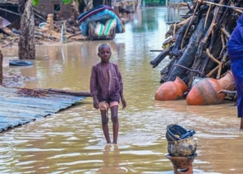 2 Killed, Homes Destroyed As Flood Ravages Yobe Communities