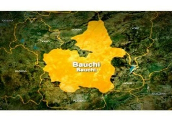 Cholera Claims 16 Lives In Bauchi As Govt Seeks Support