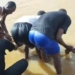 Teenager Dies After Falling Into Kano Pond 5 Teenager Dies After Falling Into Kano Pond