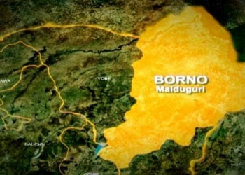 Borno To Revive Kanuri Traditional Culinary Heritage In Schools