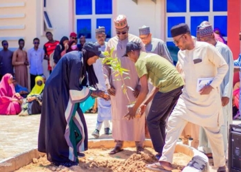 Yobe Varsity To Make Tree-Planting Requirement Before Graduation