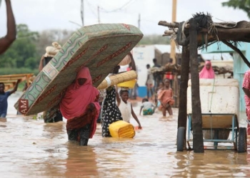 Yobe Govt Takes Rabies, Flood Prevention Campaign To Traditional Institutions