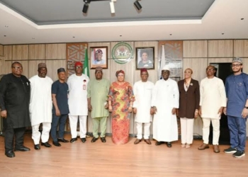 Federal Govt Sets Up Committee On Civil Service Digitalisation