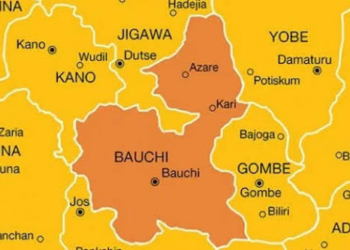 Man Dies In Vigilante Custody After Theft Allegation