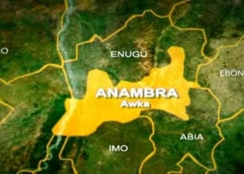 Man Plans Friend’s Murder Over Fake Land Deal In Anambra